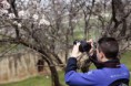 /album/fotogaleria-inicio/almedros-063-jpg/
